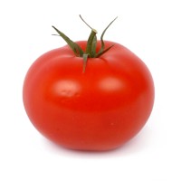 _tomato _tomato.jpg